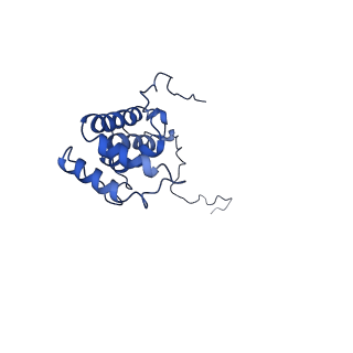 4345_6g2j_X_v1-2
Mouse mitochondrial complex I in the active state