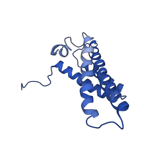 4345_6g2j_Y_v2-0
Mouse mitochondrial complex I in the active state