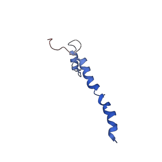 4345_6g2j_a_v1-2
Mouse mitochondrial complex I in the active state