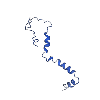 4345_6g2j_b_v1-2
Mouse mitochondrial complex I in the active state