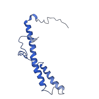 4345_6g2j_d_v1-2
Mouse mitochondrial complex I in the active state