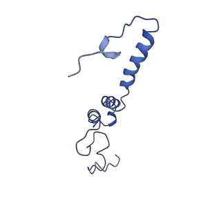 4345_6g2j_e_v1-2
Mouse mitochondrial complex I in the active state