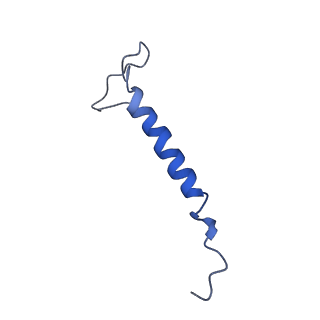 4345_6g2j_f_v1-2
Mouse mitochondrial complex I in the active state