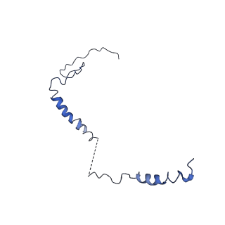 4345_6g2j_i_v1-2
Mouse mitochondrial complex I in the active state