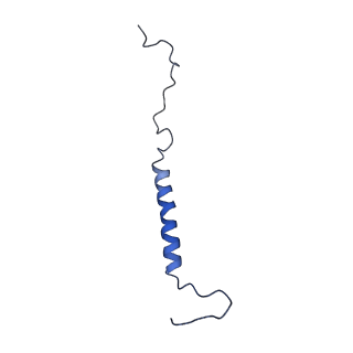 4345_6g2j_j_v1-2
Mouse mitochondrial complex I in the active state