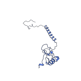 4345_6g2j_l_v1-2
Mouse mitochondrial complex I in the active state
