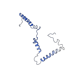 4345_6g2j_m_v1-2
Mouse mitochondrial complex I in the active state