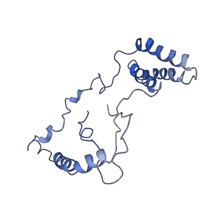 4345_6g2j_n_v1-2
Mouse mitochondrial complex I in the active state