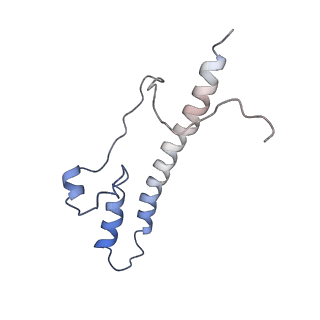 4345_6g2j_o_v1-2
Mouse mitochondrial complex I in the active state