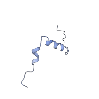 4345_6g2j_s_v1-2
Mouse mitochondrial complex I in the active state