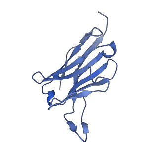 29686_8g30_E_v1-2
N2 neuraminidase of A/Tanzania/205/2010 H3N2 in complex with 4 FNI19 Fab molecules
