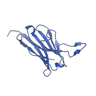 29686_8g30_G_v1-2
N2 neuraminidase of A/Tanzania/205/2010 H3N2 in complex with 4 FNI19 Fab molecules