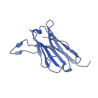 29686_8g30_H_v1-2
N2 neuraminidase of A/Tanzania/205/2010 H3N2 in complex with 4 FNI19 Fab molecules