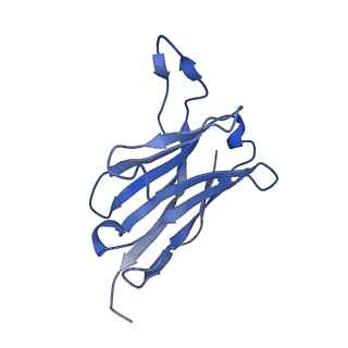 29686_8g30_J_v1-2
N2 neuraminidase of A/Tanzania/205/2010 H3N2 in complex with 4 FNI19 Fab molecules