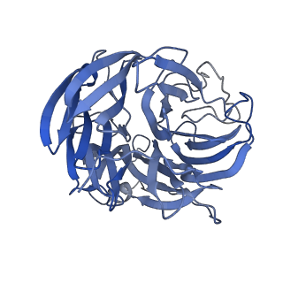 29686_8g30_M_v1-2
N2 neuraminidase of A/Tanzania/205/2010 H3N2 in complex with 4 FNI19 Fab molecules