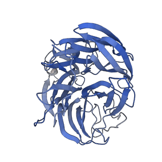 29686_8g30_O_v1-2
N2 neuraminidase of A/Tanzania/205/2010 H3N2 in complex with 4 FNI19 Fab molecules