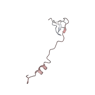 29689_8g38_0_v1-2
Time-resolved cryo-EM study of the 70S recycling by the HflX:3rd Intermediate