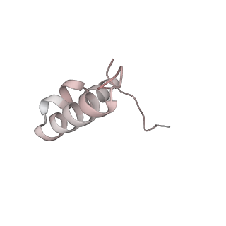 29689_8g38_2_v1-2
Time-resolved cryo-EM study of the 70S recycling by the HflX:3rd Intermediate