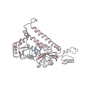 29689_8g38_6_v1-1
Time-resolved cryo-EM study of the 70S recycling by the HflX:3rd Intermediate