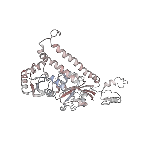 29689_8g38_6_v1-2
Time-resolved cryo-EM study of the 70S recycling by the HflX:3rd Intermediate