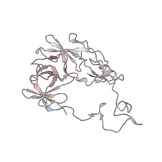 29689_8g38_C_v1-2
Time-resolved cryo-EM study of the 70S recycling by the HflX:3rd Intermediate