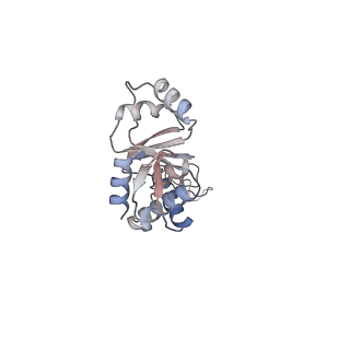 29689_8g38_E_v1-2
Time-resolved cryo-EM study of the 70S recycling by the HflX:3rd Intermediate