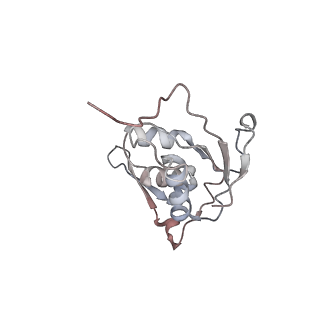 29689_8g38_J_v1-1
Time-resolved cryo-EM study of the 70S recycling by the HflX:3rd Intermediate