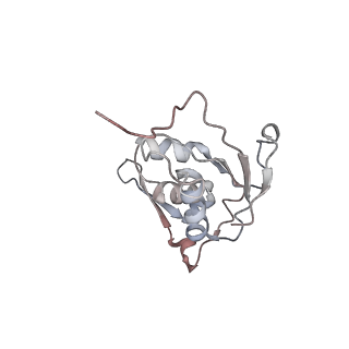 29689_8g38_J_v1-2
Time-resolved cryo-EM study of the 70S recycling by the HflX:3rd Intermediate