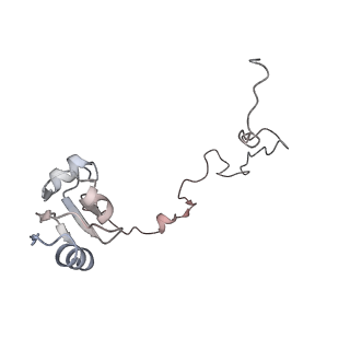 29689_8g38_L_v1-2
Time-resolved cryo-EM study of the 70S recycling by the HflX:3rd Intermediate