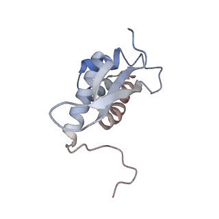 29689_8g38_N_v1-2
Time-resolved cryo-EM study of the 70S recycling by the HflX:3rd Intermediate