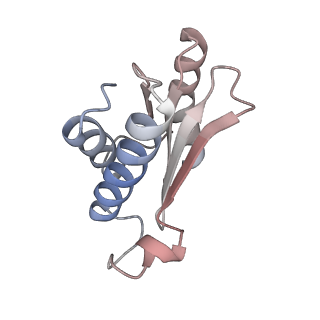 29689_8g38_O_v1-2
Time-resolved cryo-EM study of the 70S recycling by the HflX:3rd Intermediate