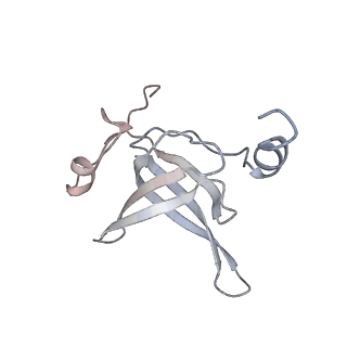 29689_8g38_P_v1-2
Time-resolved cryo-EM study of the 70S recycling by the HflX:3rd Intermediate