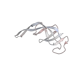 29689_8g38_R_v1-2
Time-resolved cryo-EM study of the 70S recycling by the HflX:3rd Intermediate