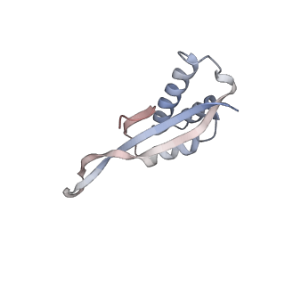 29689_8g38_S_v1-2
Time-resolved cryo-EM study of the 70S recycling by the HflX:3rd Intermediate