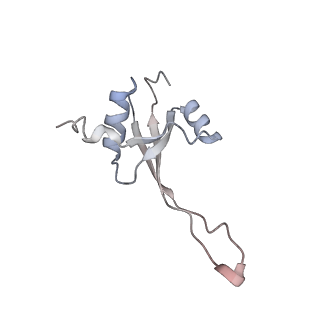 29689_8g38_T_v1-2
Time-resolved cryo-EM study of the 70S recycling by the HflX:3rd Intermediate