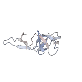 29689_8g38_U_v1-2
Time-resolved cryo-EM study of the 70S recycling by the HflX:3rd Intermediate