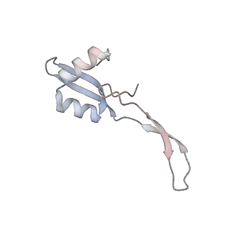 29689_8g38_X_v1-2
Time-resolved cryo-EM study of the 70S recycling by the HflX:3rd Intermediate