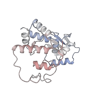 29689_8g38_c_v1-1
Time-resolved cryo-EM study of the 70S recycling by the HflX:3rd Intermediate