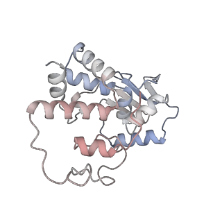 29689_8g38_c_v1-2
Time-resolved cryo-EM study of the 70S recycling by the HflX:3rd Intermediate