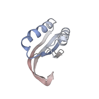 29689_8g38_e_v1-2
Time-resolved cryo-EM study of the 70S recycling by the HflX:3rd Intermediate