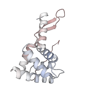 29689_8g38_f_v1-2
Time-resolved cryo-EM study of the 70S recycling by the HflX:3rd Intermediate