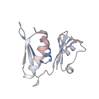 29689_8g38_g_v1-2
Time-resolved cryo-EM study of the 70S recycling by the HflX:3rd Intermediate