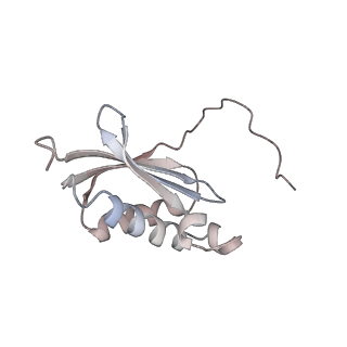 29689_8g38_j_v1-2
Time-resolved cryo-EM study of the 70S recycling by the HflX:3rd Intermediate