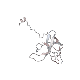 29689_8g38_k_v1-1
Time-resolved cryo-EM study of the 70S recycling by the HflX:3rd Intermediate