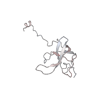 29689_8g38_k_v1-2
Time-resolved cryo-EM study of the 70S recycling by the HflX:3rd Intermediate