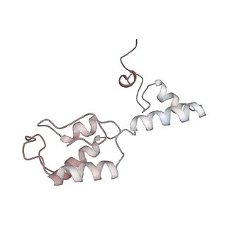 29689_8g38_l_v1-1
Time-resolved cryo-EM study of the 70S recycling by the HflX:3rd Intermediate