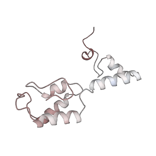 29689_8g38_l_v1-2
Time-resolved cryo-EM study of the 70S recycling by the HflX:3rd Intermediate