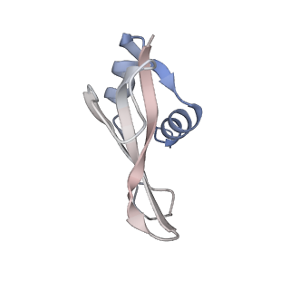 29689_8g38_o_v1-2
Time-resolved cryo-EM study of the 70S recycling by the HflX:3rd Intermediate