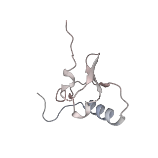 29689_8g38_r_v1-2
Time-resolved cryo-EM study of the 70S recycling by the HflX:3rd Intermediate