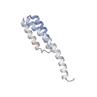 29689_8g38_s_v1-1
Time-resolved cryo-EM study of the 70S recycling by the HflX:3rd Intermediate